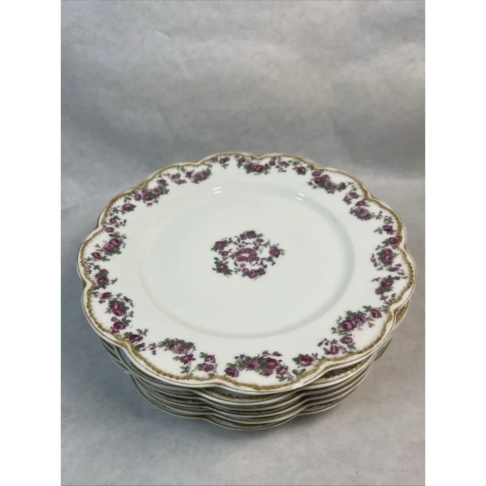 Haviland & Co Limoges Schleiger 270 Luncheon‎ Plates. 8.5